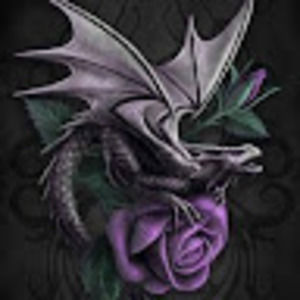 Meet your Posher, Bernadette